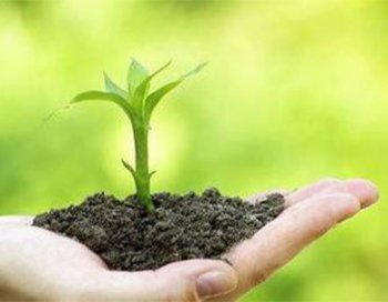 腐殖酸、氨基酸、魚(yú)蛋白以及海藻酸、甲殼素比較